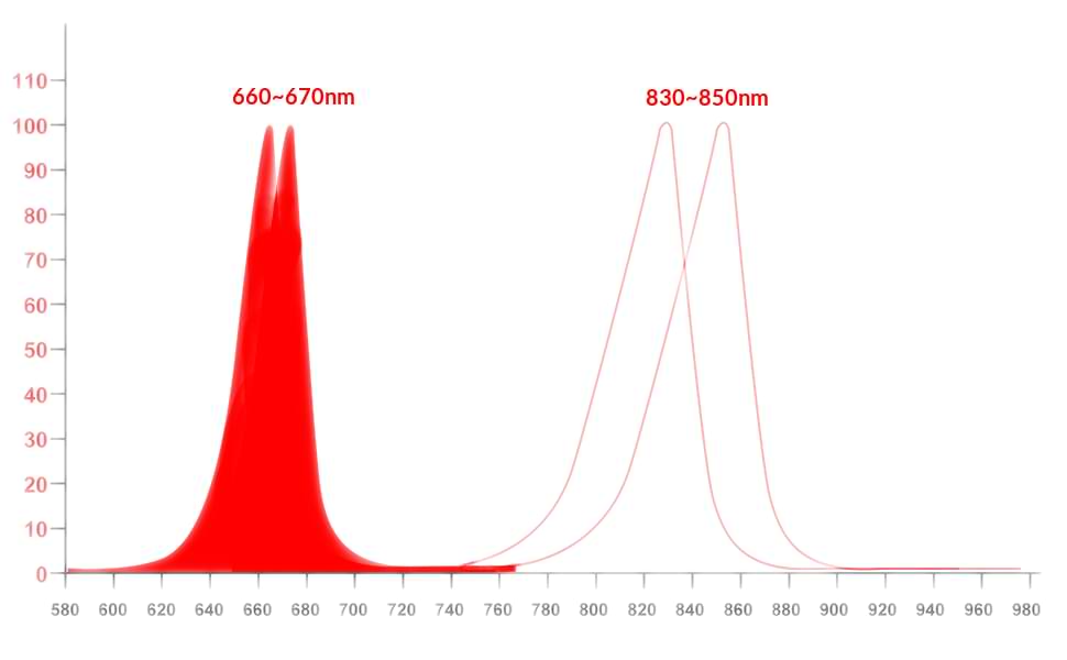 Light spectrum dual chip