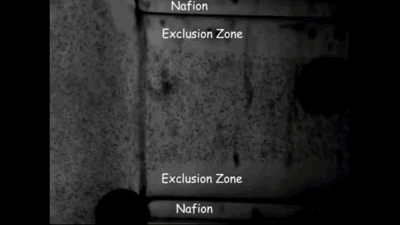 ezgif.com video to gif converter